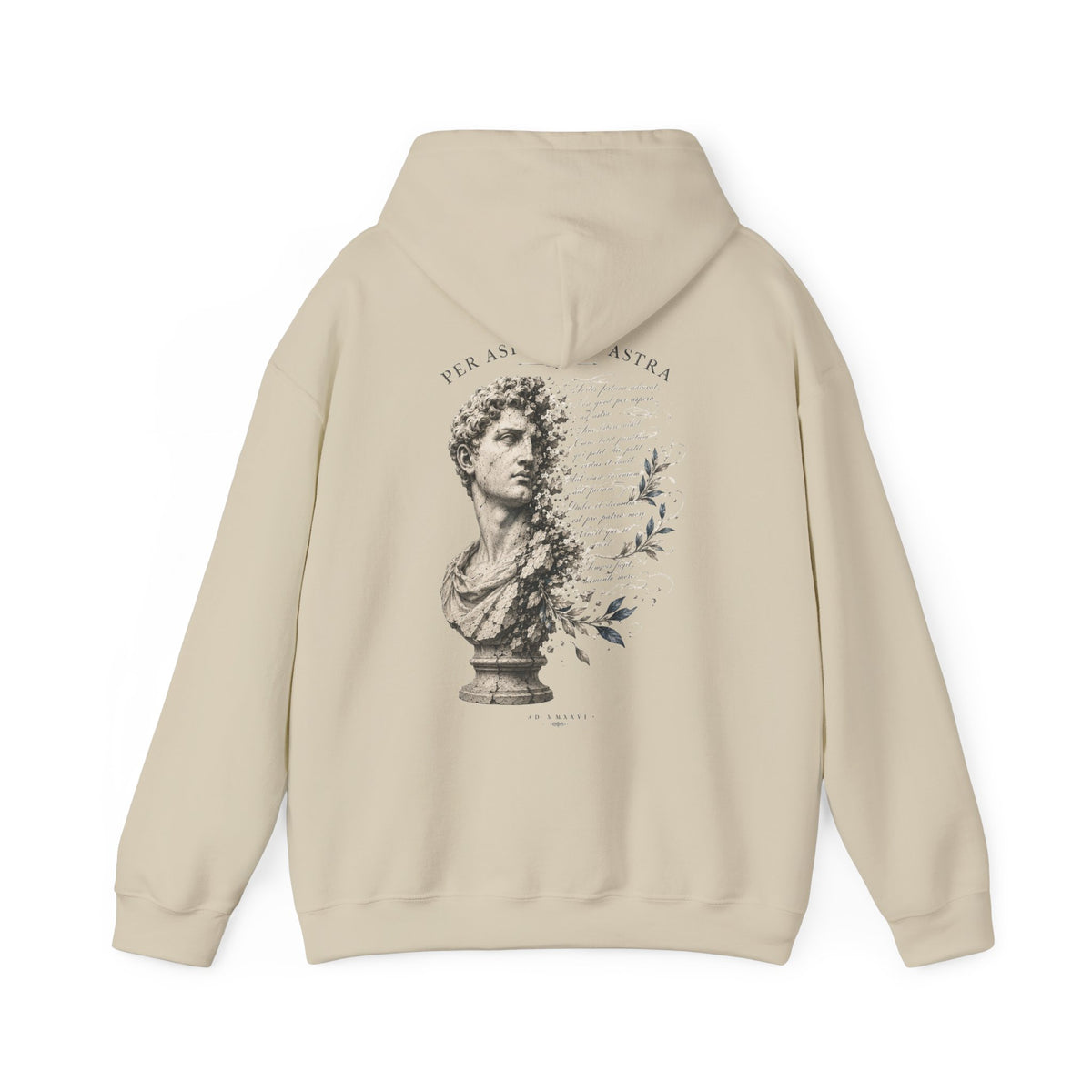 Classical bust with faded Per Aspera Ad Astra script printed on the back of a heavyweight cotton-blend hoodie