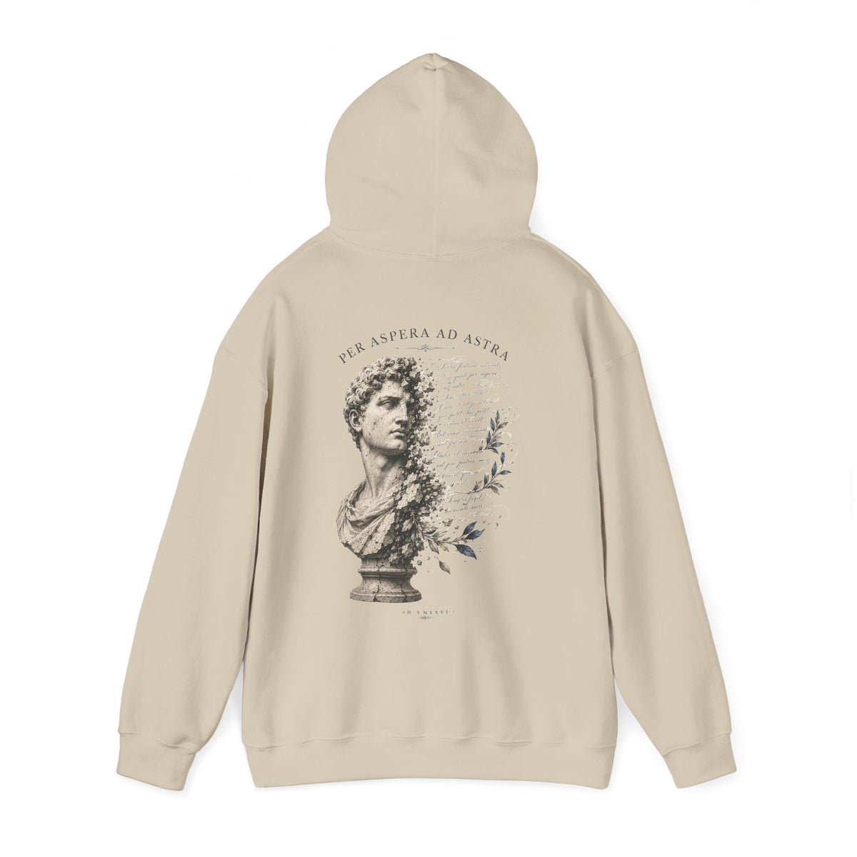 Classical bust with faded Per Aspera Ad Astra script printed on the back of a heavyweight cotton-blend hoodie