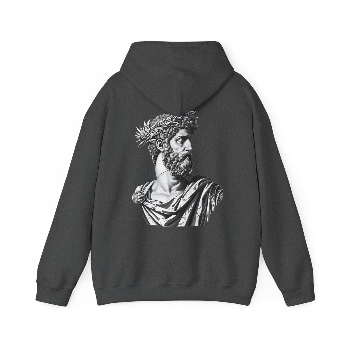 Classical Statue Hoodie — Roman Bust Graphic Back Print