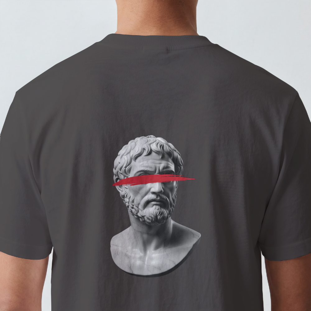 Classical bust struck by a single red brushstroke on the back of a garment-dyed cotton tee