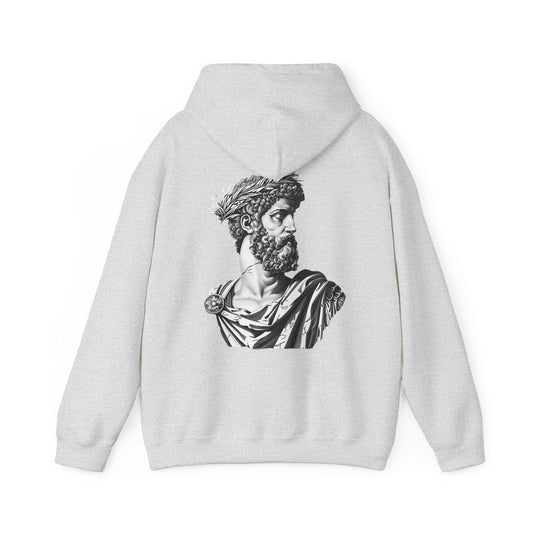 Classical Statue Hoodie — Roman Bust Graphic Back Print