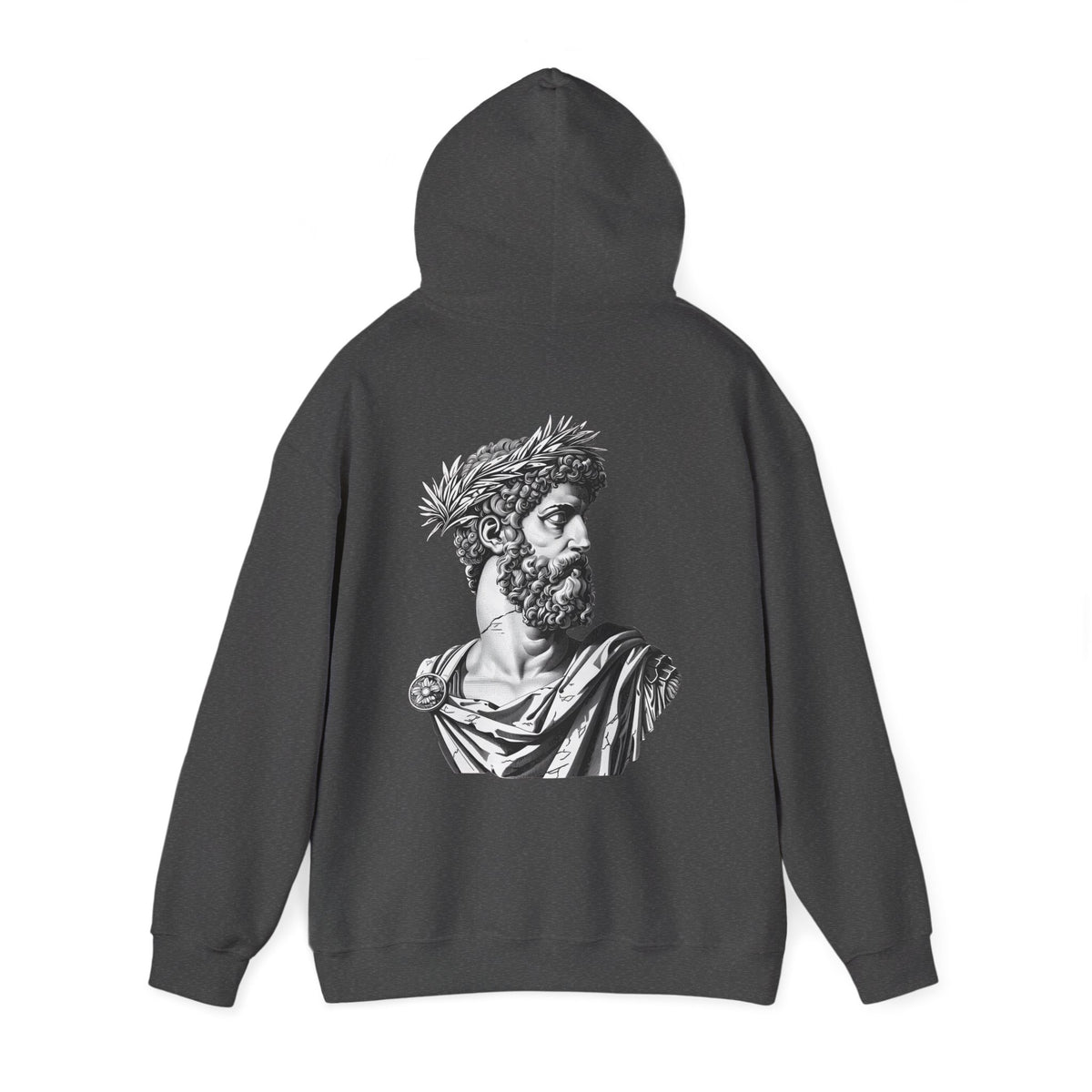 Classical Statue Hoodie — Roman Bust Graphic Back Print