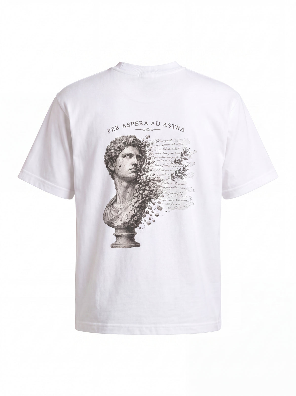 Unisex Heavyweight 6.1 oz Cotton Boxy Fit T-Shirt featuring classical sculpture Graphic - 3D Ghost Mannequin Back Print View