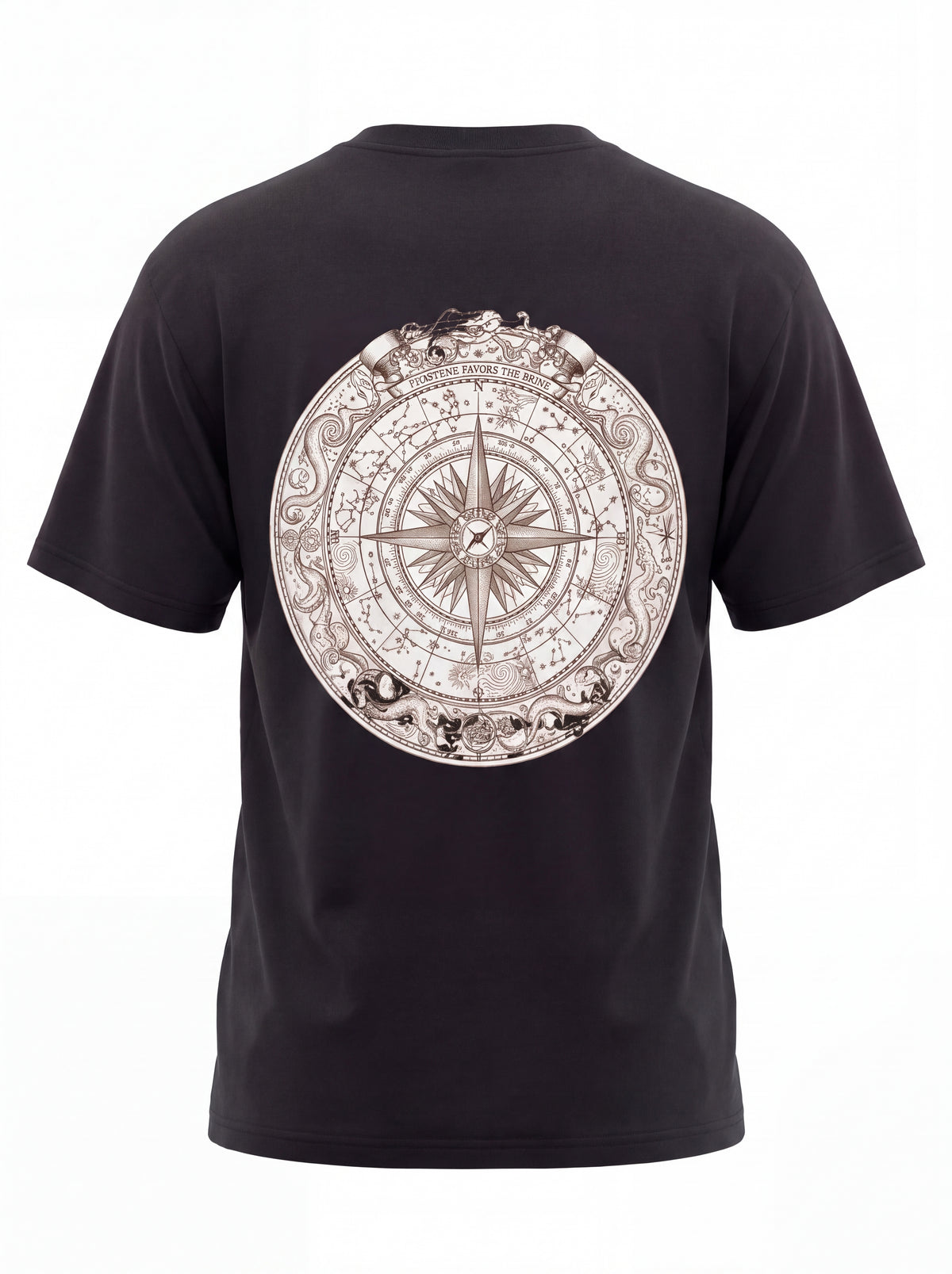 Unisex Heavyweight 6.1 oz Cotton Boxy Fit T-Shirt featuring celestial compass astrolabe Graphic - 3D Ghost Mannequin Back Print View
